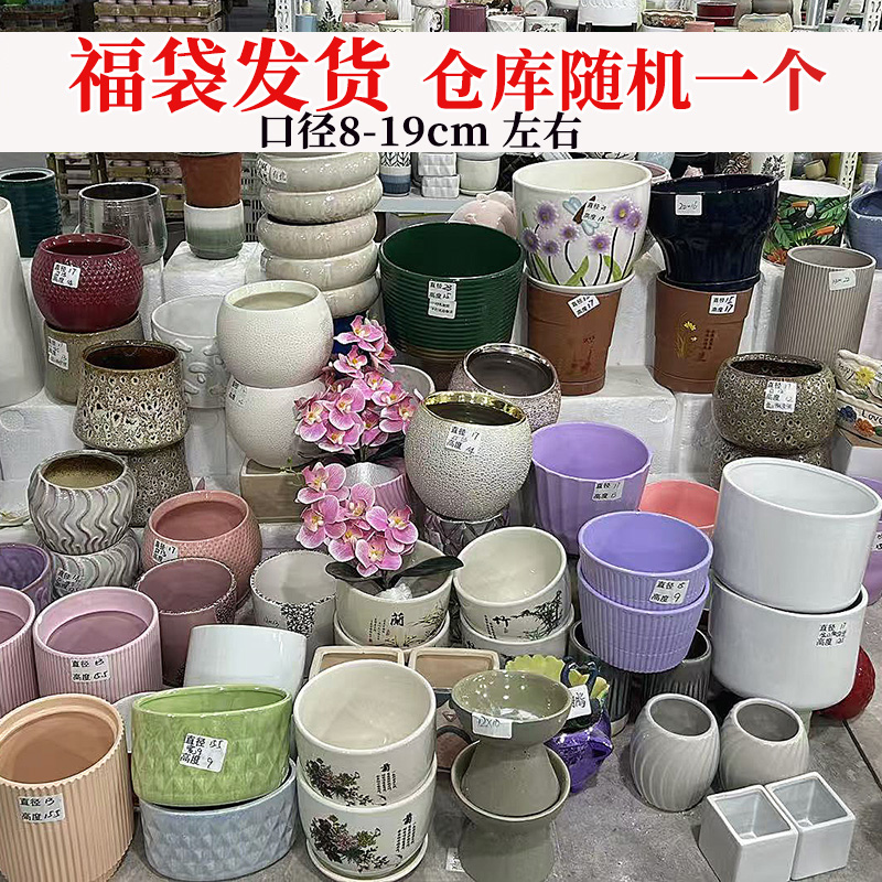 花盆随机一个