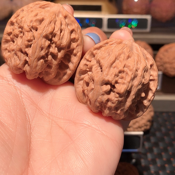 相****）文玩核桃把件野狼