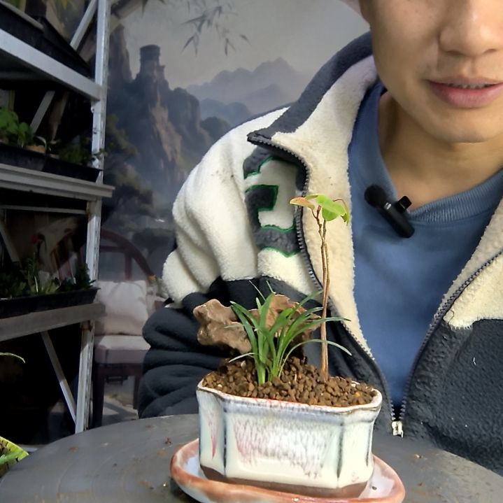 厕****物中青园艺一物一拍29