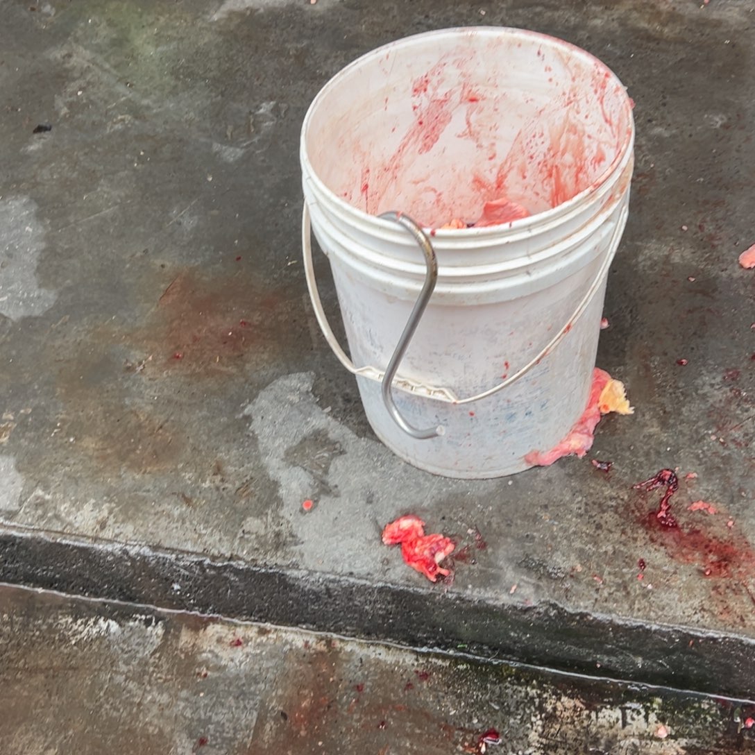 木***洋30中国大陆食用农产品