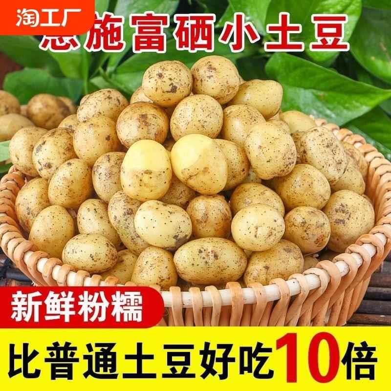 富硒土豆恩施小土豆新鲜现挖黄心小个马铃薯洋芋粉糯沙面鸡蛋