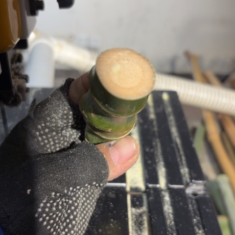 *****实心竹竹竹竹竹竹竹竹竹竹竹