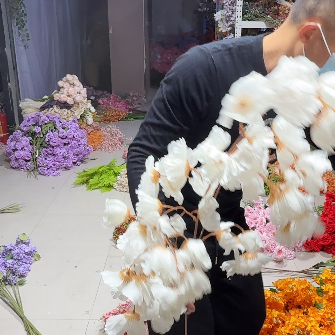 白色灯笼果10支装