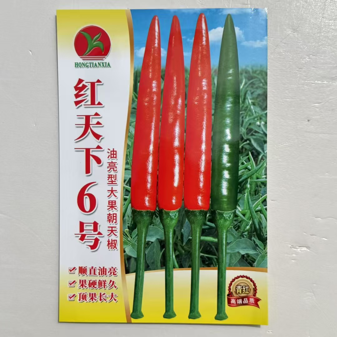 红天下朝天椒种子5号8号红天下18号大果青红两用墨绿色辣椒朝天椒