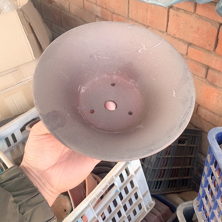 紫砂我要不就是你