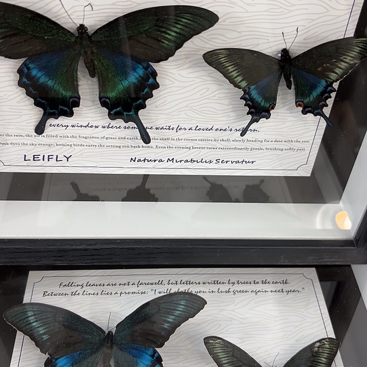 十寸新背景绿带春夏