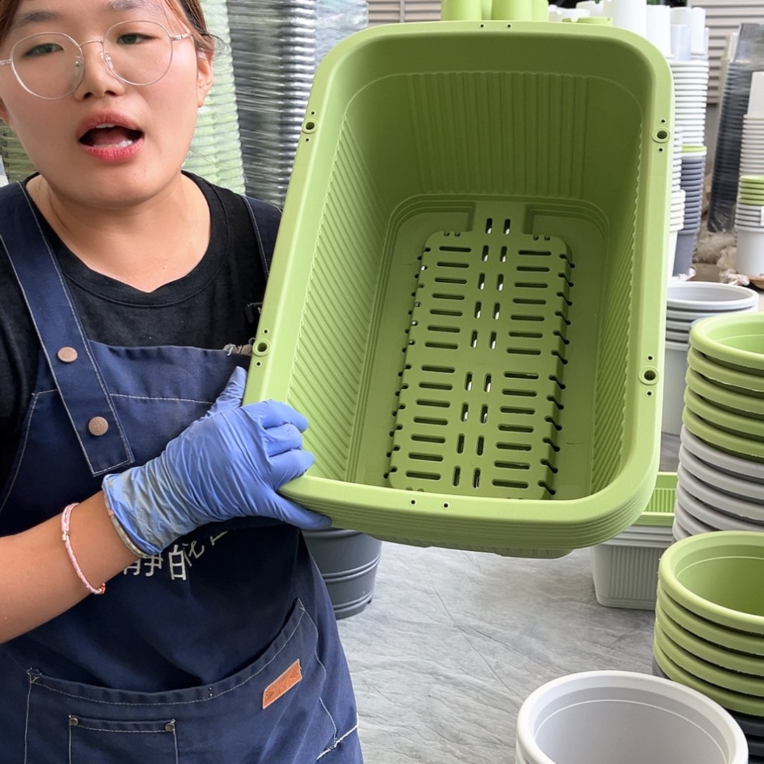 菜盆500果绿色3个无托