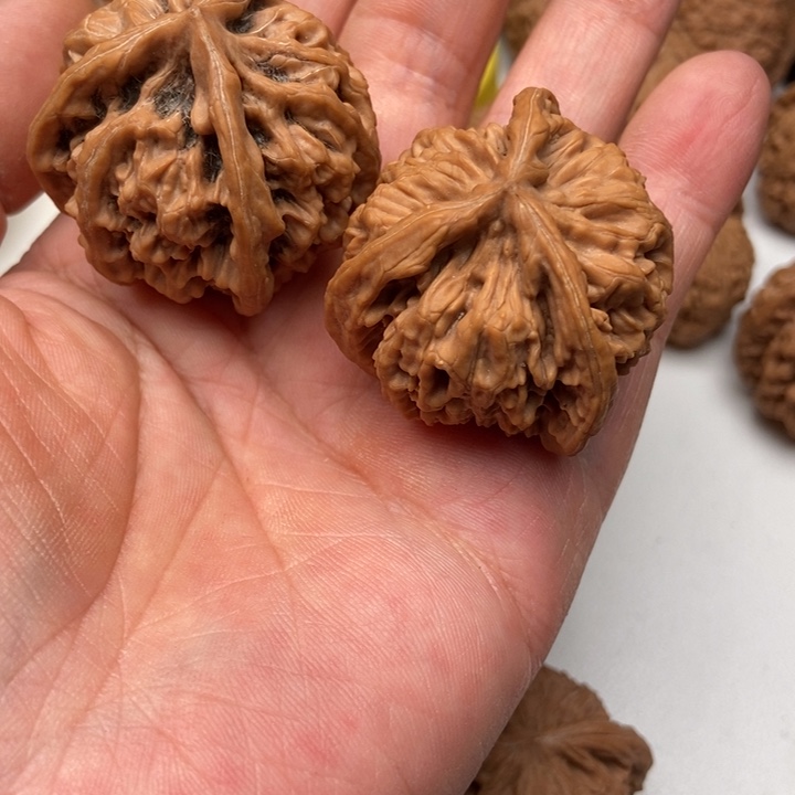 随*三棱8888888888