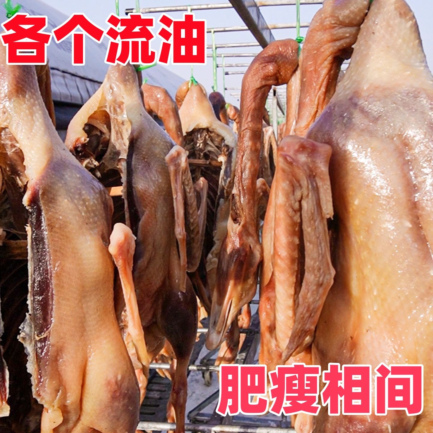 【大包老鹅】农家腊鹅2年以上大白鹅咸鹅腊鹅整只农家咸鹅带翅带爪