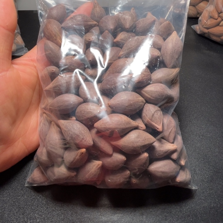 津***味手串/手链猪牙我是