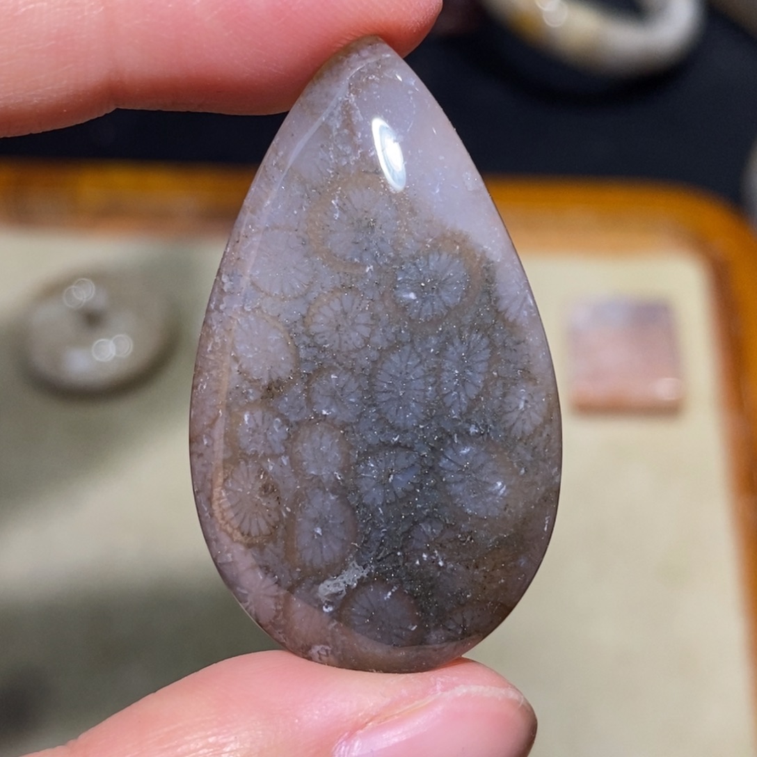 【闪购商品】硅化玉珊瑚玉未镶嵌