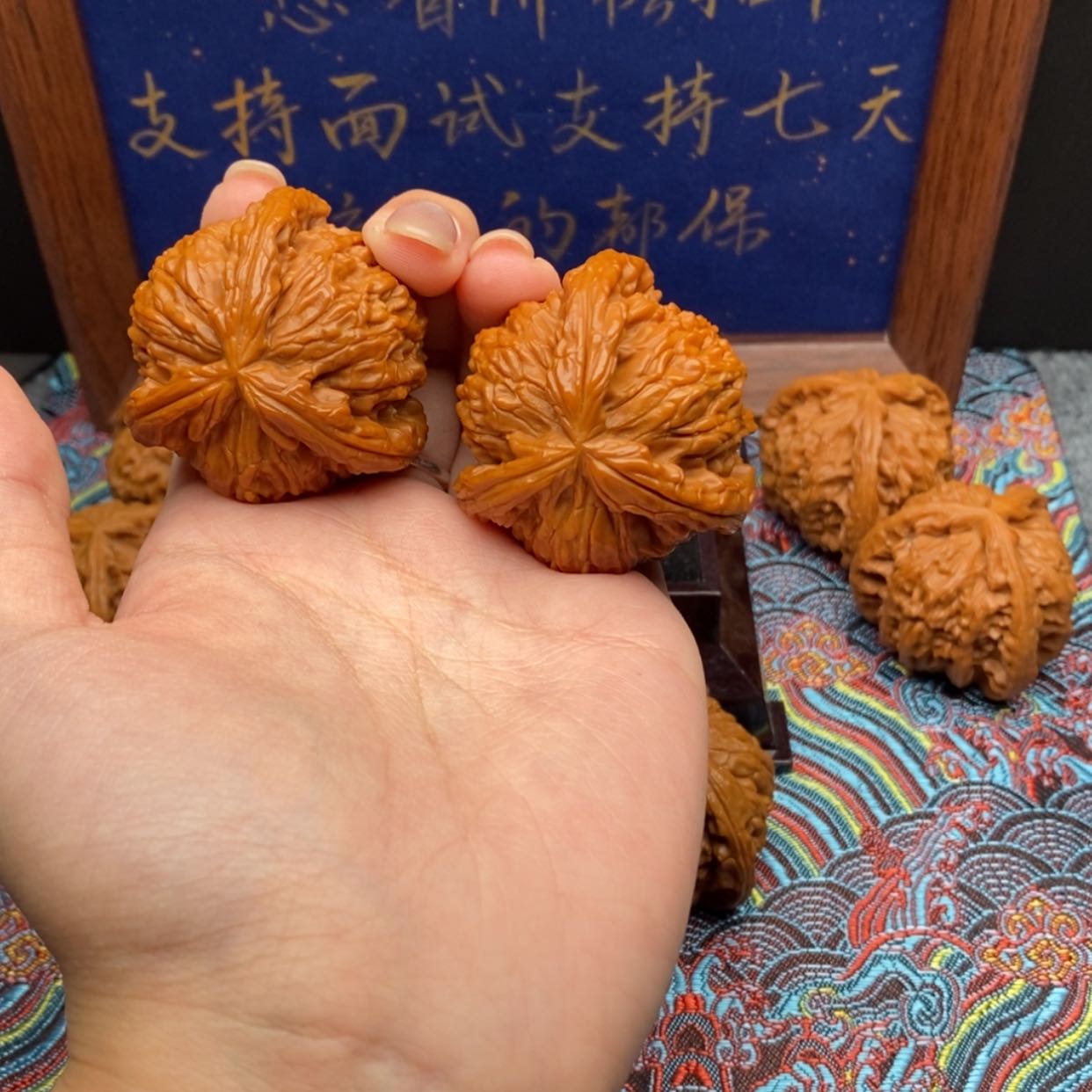 【闪购商品】大**生白狮