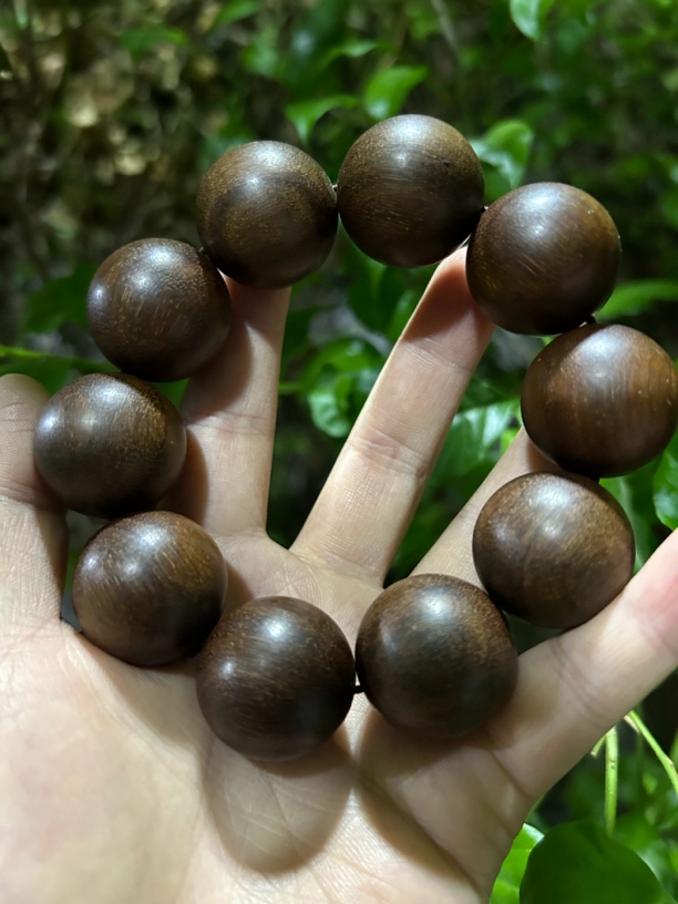 【土特产菇151】净含量95g