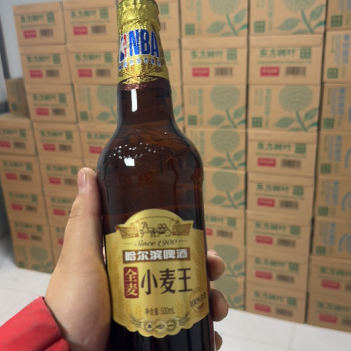 惊爆哈尔滨全麦小麦王啤酒500x12瓶（2026年2月12号过期）