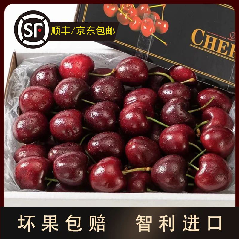 新鲜现货拉宾斯智利进口海运车厘子坏果包赔5斤2J-5J 内附果径卡