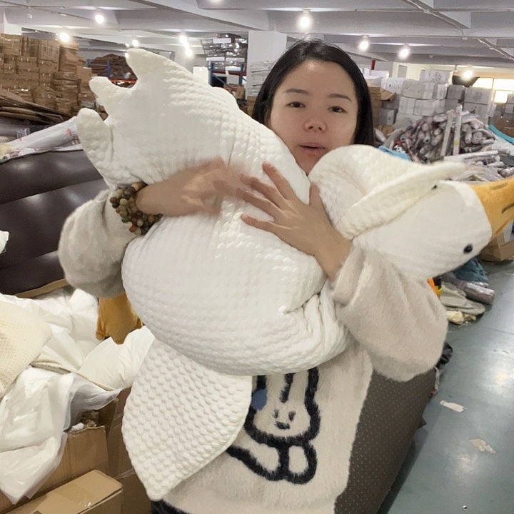 大白鹅啦啦啦啦啦啦啦