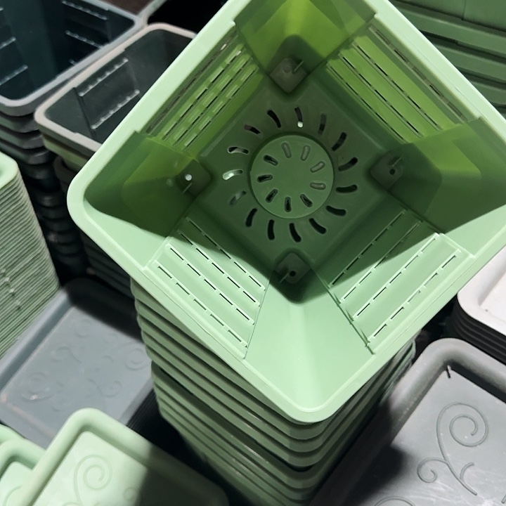 编号103滚绿无托10个