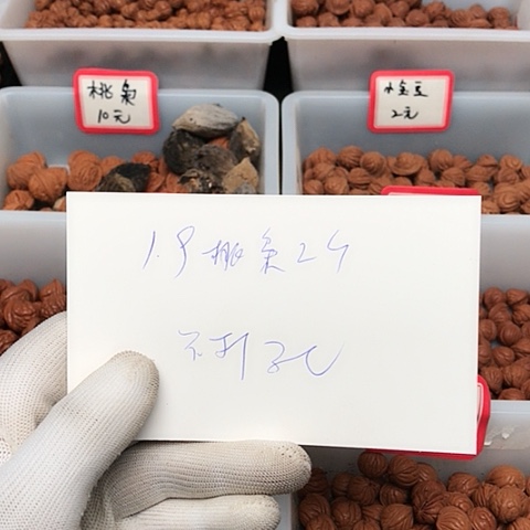 桃核吊坠祥*龙纹桃核的搭配