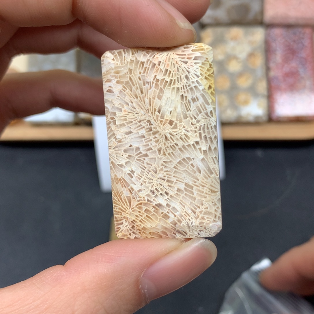 杪***三硅化珊瑚（珊瑚玉）未镶嵌颈饰