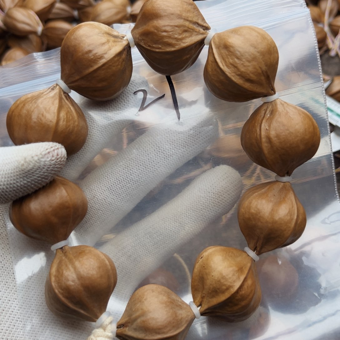 橄榄核手串/手链21号，2.8×2.8四花