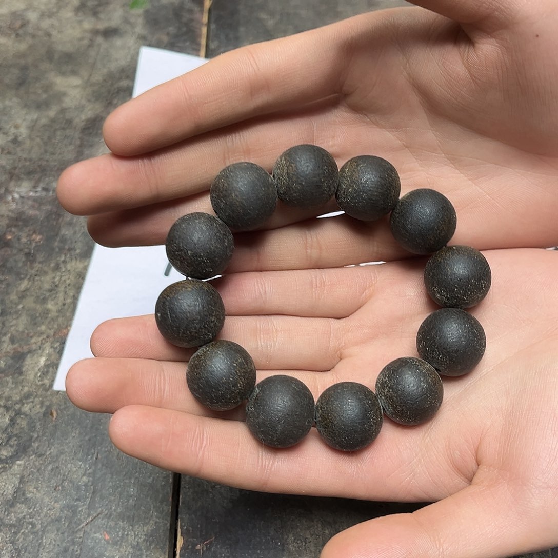 大叶紫檀（黑酸枝木类）