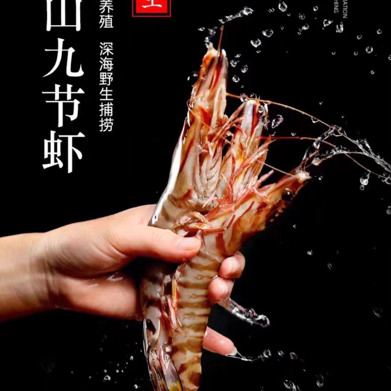 （省外拍25头内）舟山野生竹节虾冻发