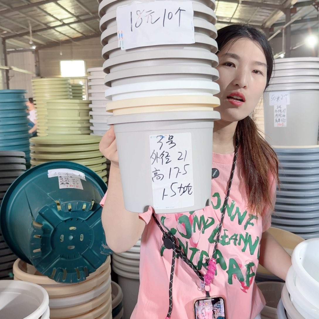 微瑕3#无拖灰白10个