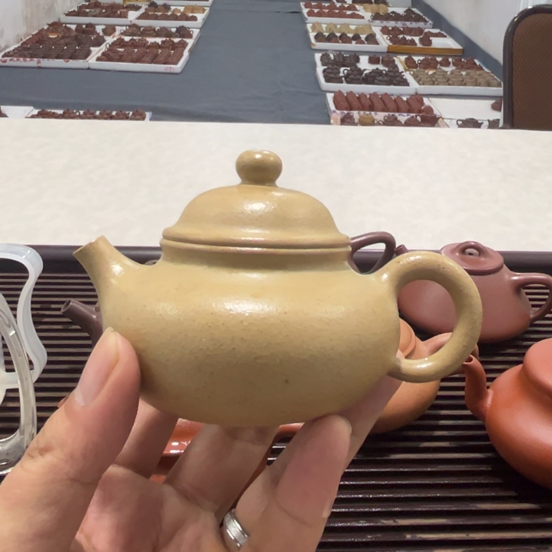 茶壶紫砂紫砂……………………………………