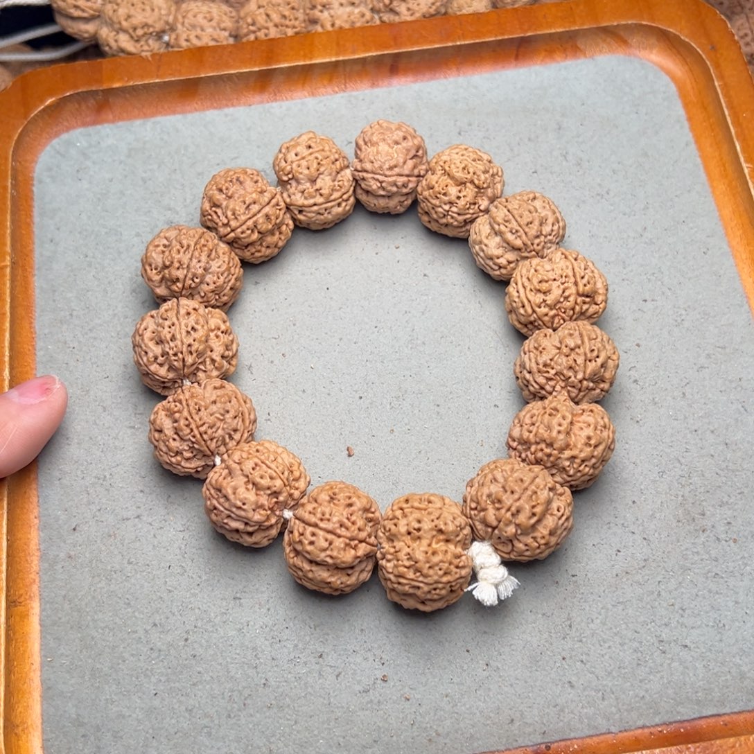 菩提17号金刚菩提双龙梅花23