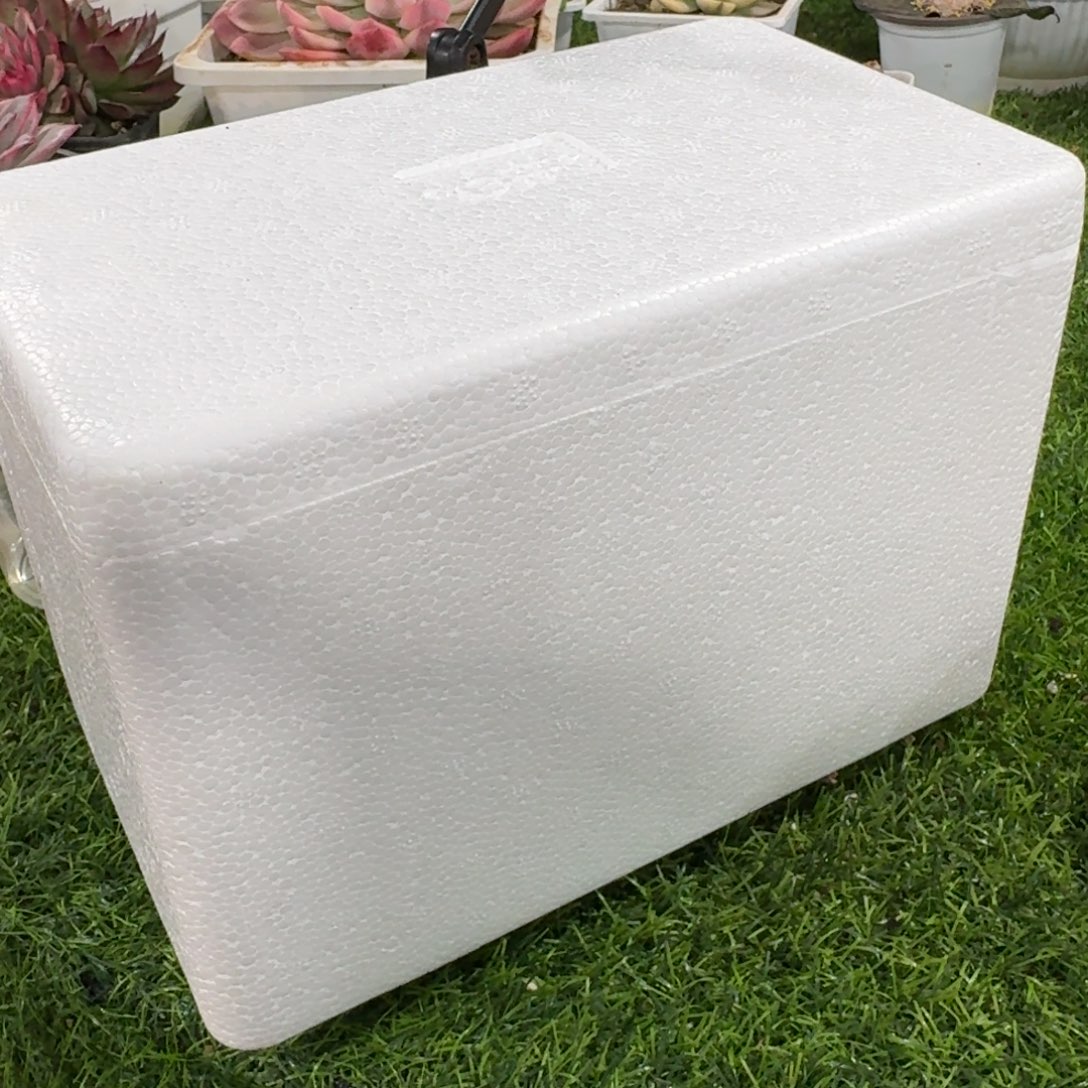 保温箱多肉植物晾晒一下