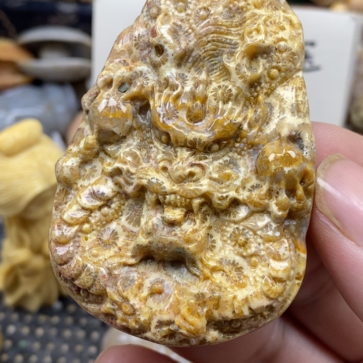 硅化珊瑚（珊瑚玉）未镶嵌颈饰