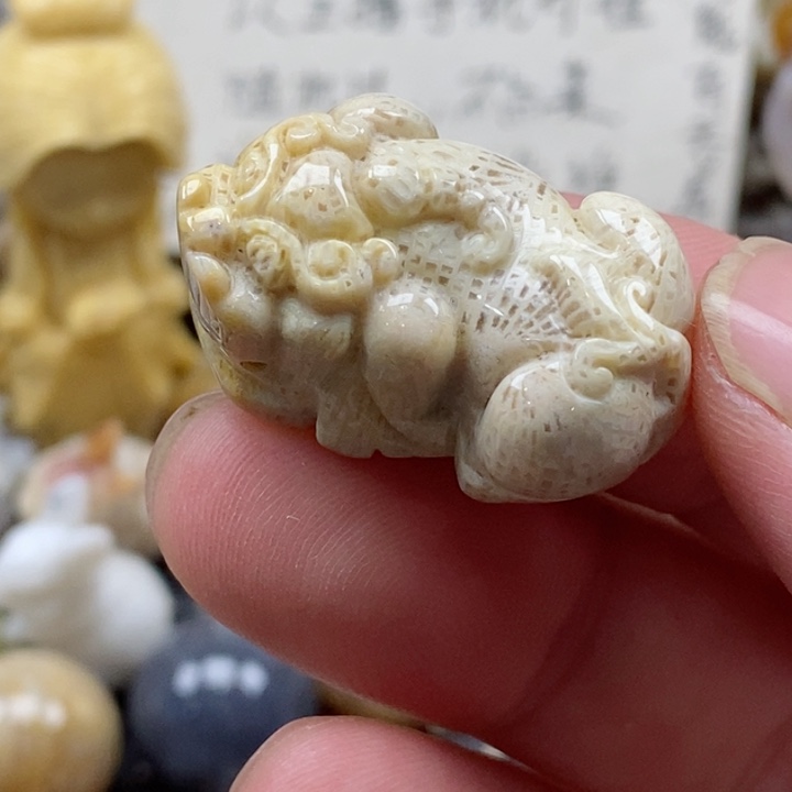 颈饰未镶嵌硅化珊瑚（珊瑚玉）小