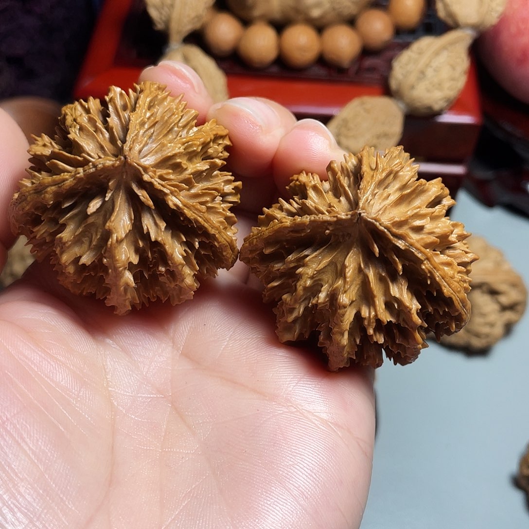 核桃手串/手链精品大瓷三楞