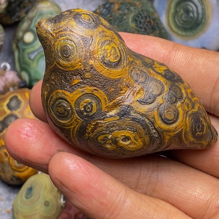 木阿*斯四子王旗的历史