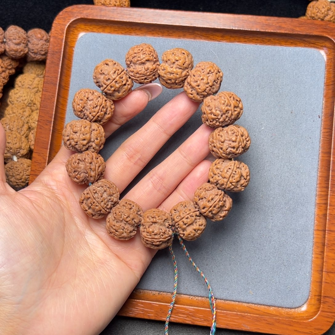 菩提15号金刚菩提粗筋梅花22