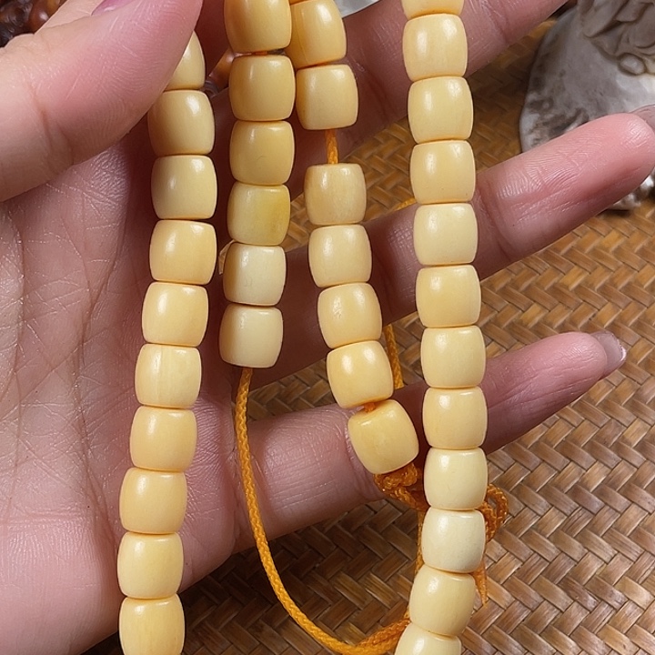 鹿骨其他奔****…驼骨驼骨驼骨73