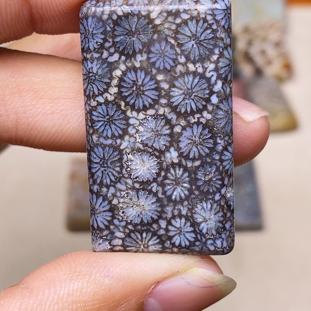 小***志硅化玉合金珊瑚玉