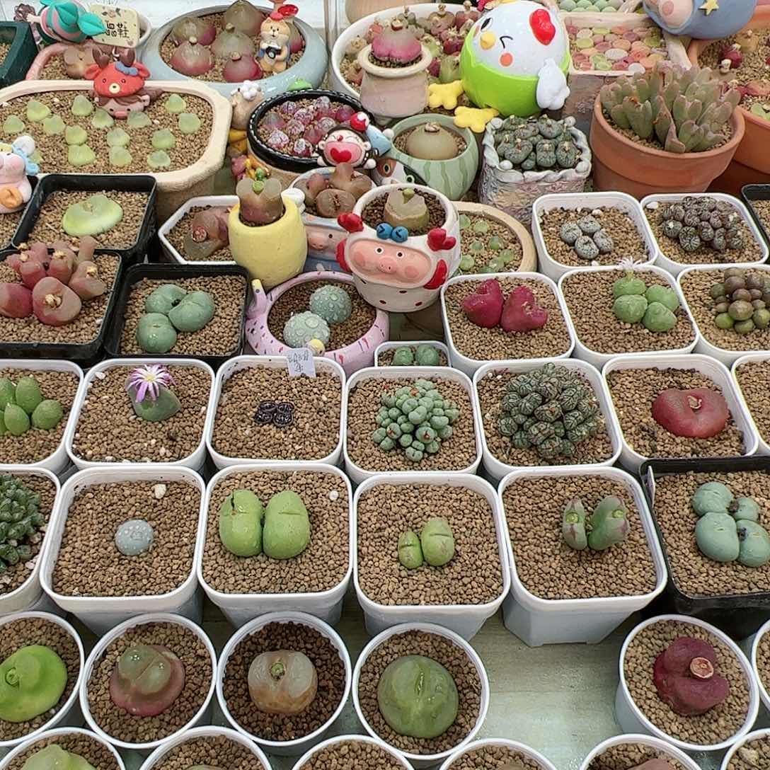 【闪购商品】江***船200元跨年福利