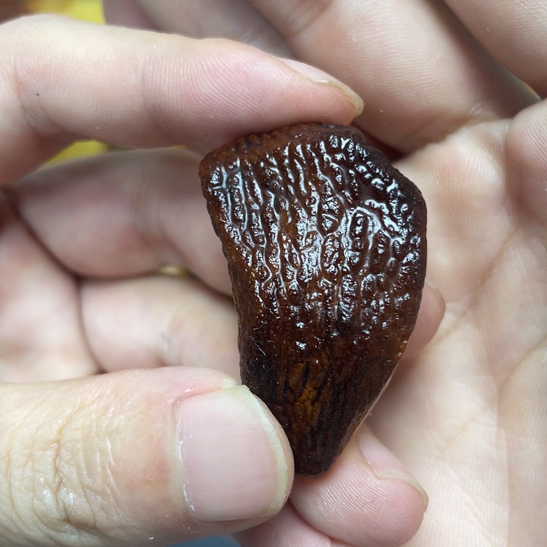 未镶嵌定制琥珀定制