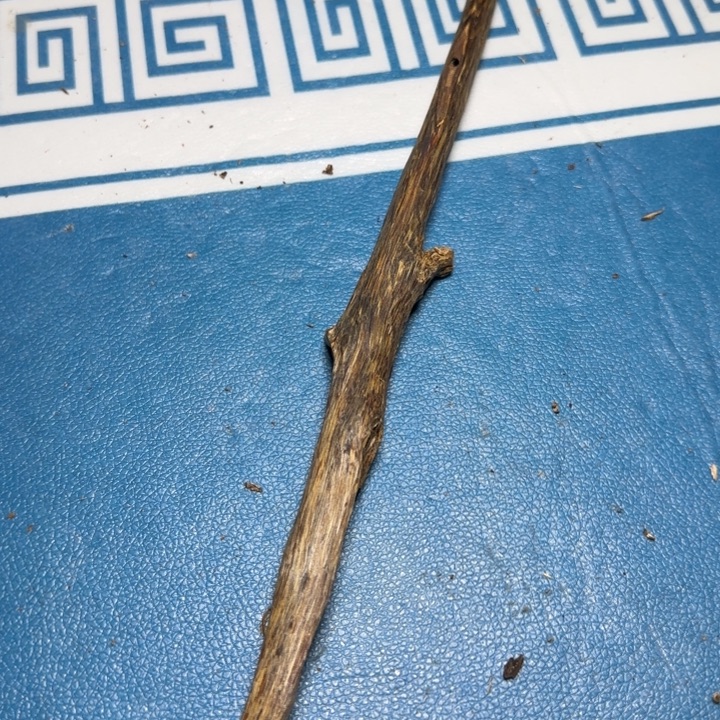 木质绿奇陆河虫漏24克