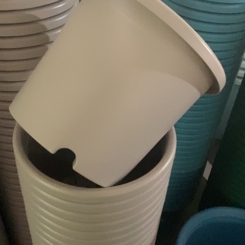 树脂四季4号微瑕灰白无托8个