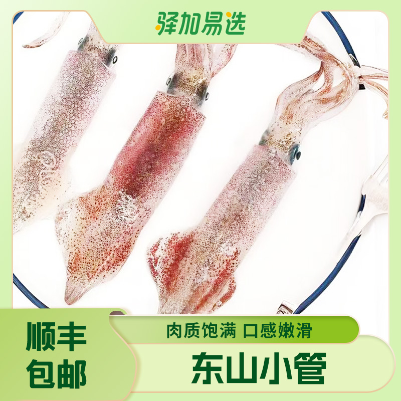 【东山野生小管】肉质饱满 口感嫩滑 原味锁鲜 顺丰包邮-龍爸