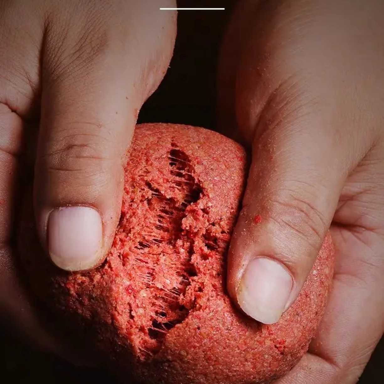 新粉福利台钓野钓传统钓昆虫高蛋白鲫鱼鲤鱼鲮鱼罗非腥香全能拉饵