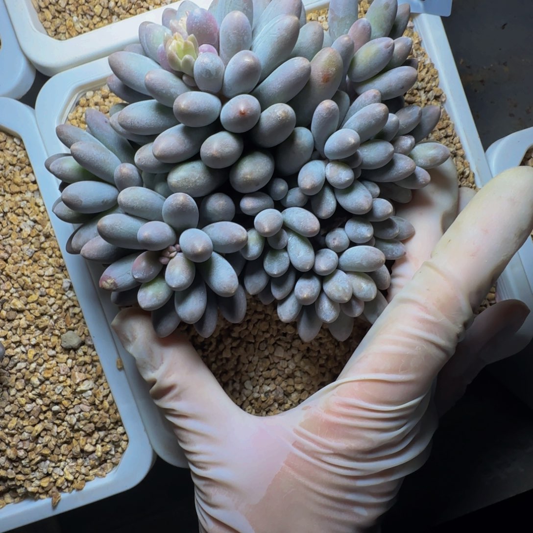 h h h h h h h h h 5