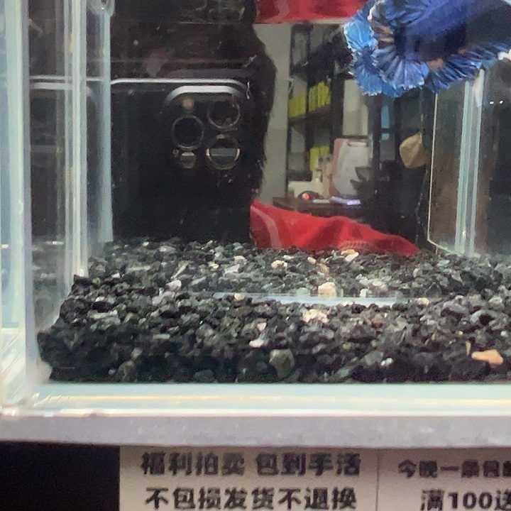 斗鱼跑单拉黑23日73