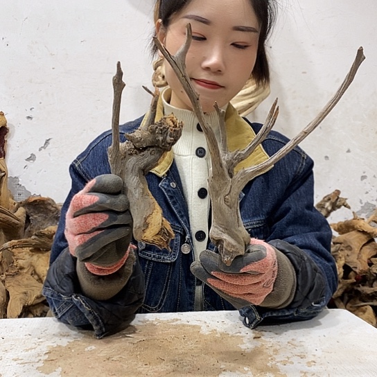 小***＄柏木我们都是好孩子