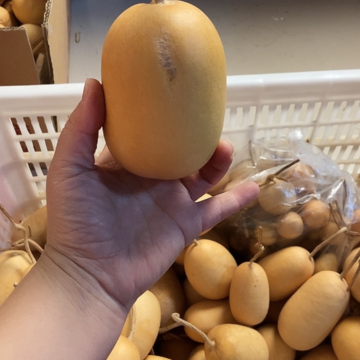 东方葫芦恭喜发财