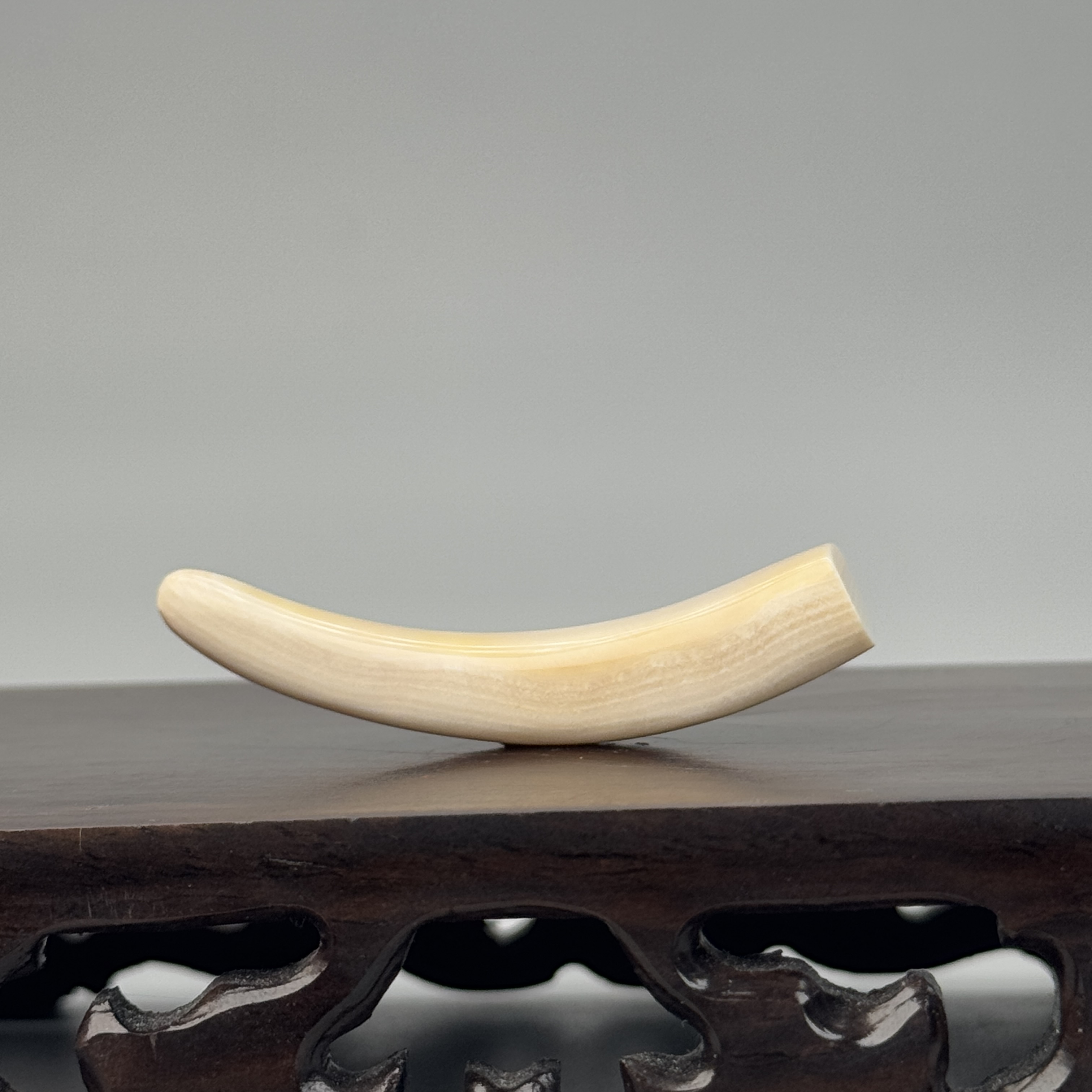 DEZHI/德志6g带皮牙尖51*11*8mm猛犸牙默认打孔配吊坠绳K330