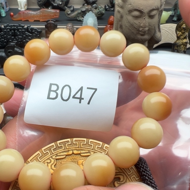 光***事菩提根/象牙果手串