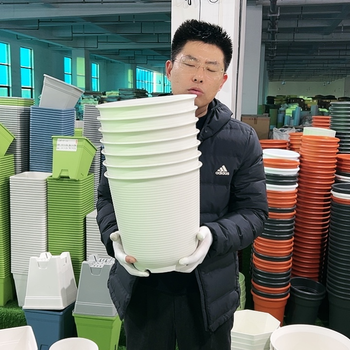 正品高陶口27高27白色4只带托